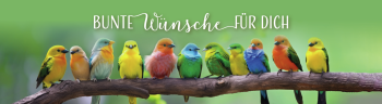 Glaswindlicht zum Geburtstag - Bunte Wünsche für dich